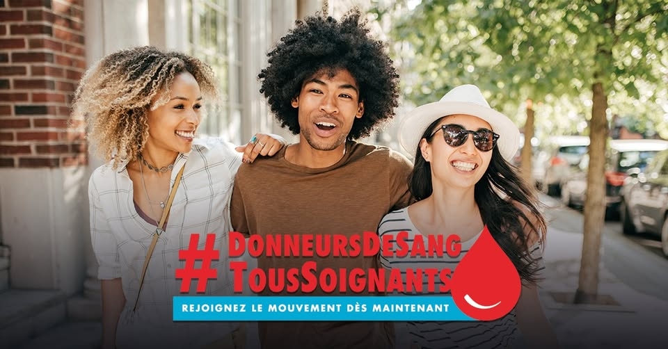 lamaisondudondelille