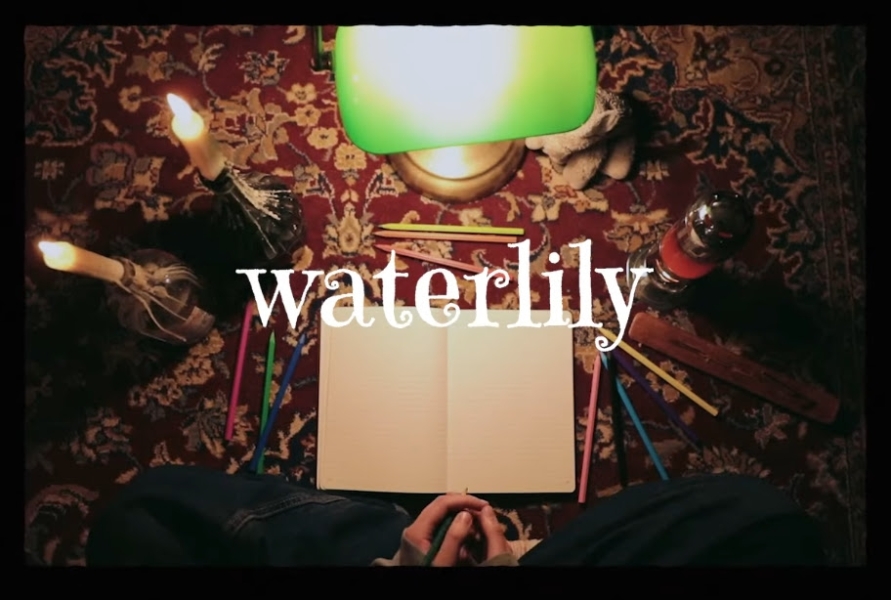 waterlily