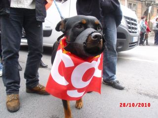 CGTCIM2583