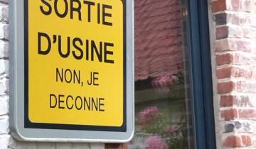 Matou : murmures de coquilles et autres mille vaches