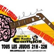 3 Cordes et 1 Cerveau