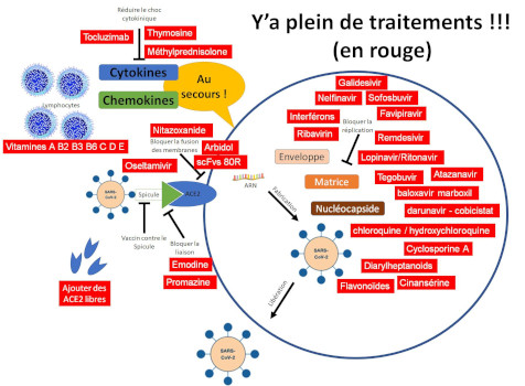 Schema_Traitements_corona_-_Copie.jpg