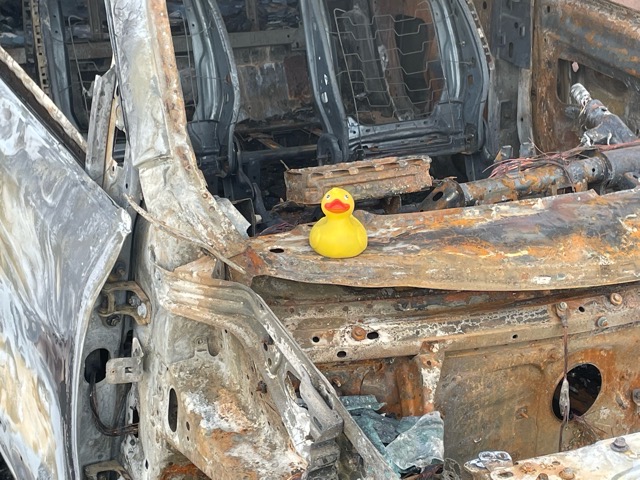 Canard et épave